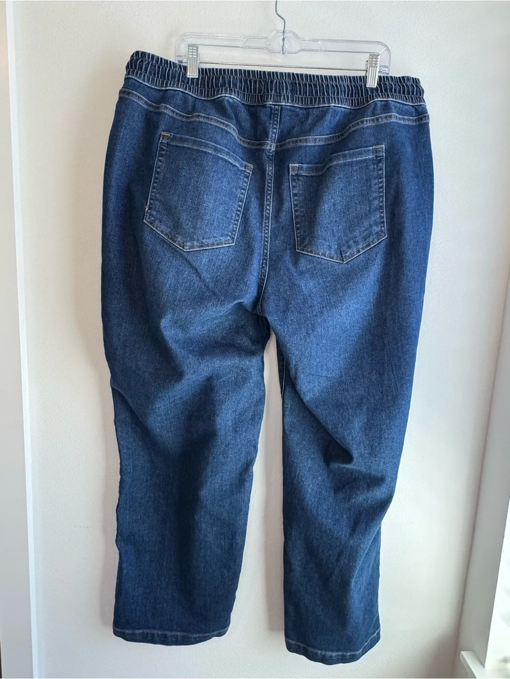 Lane Bryant Women’s Elastic Waist Blue Jeans Casual Pull-On Style Drawstring 18